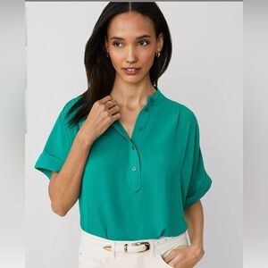 NWT Ann Taylor Mock Neck Popover Top Size L
